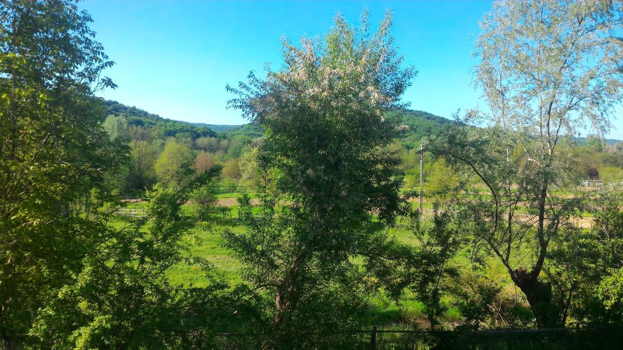Pensiunea Casa Ghica Valea Salciilor Exterior foto